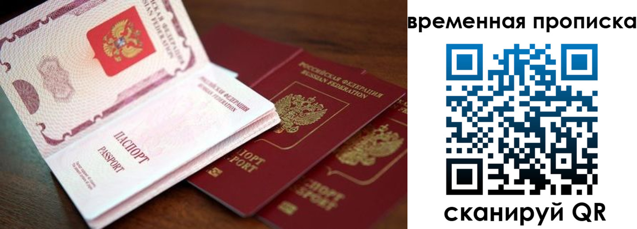 прописка гарантия в Приморском крае